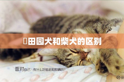 ?田園犬和柴犬的區別