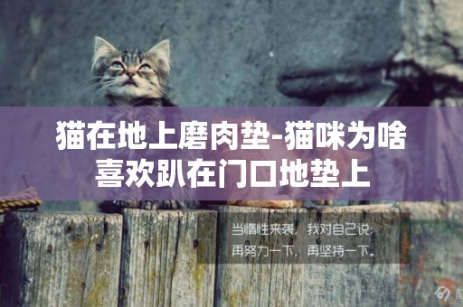 貓在地上磨肉墊-貓咪為啥喜歡趴在門口地墊上