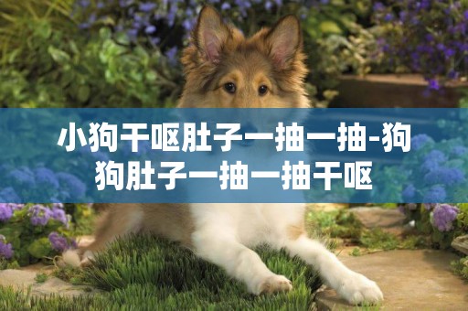 小狗干嘔肚子一抽一抽-狗狗肚子一抽一抽干嘔