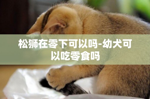 松獅在零下可以嗎-幼犬可以吃零食嗎