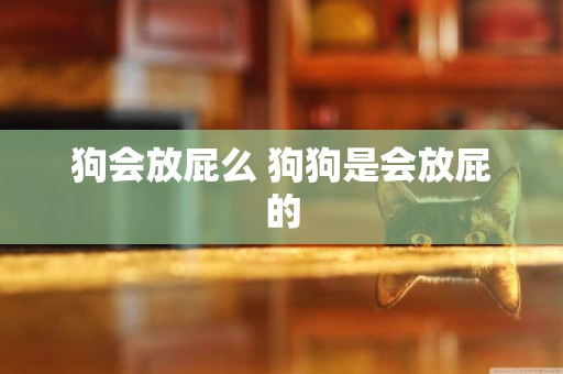 狗會放屁么 狗狗是會放屁的