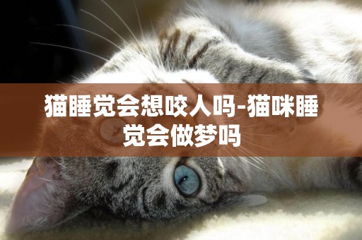 貓睡覺會想咬人嗎-貓咪睡覺會做夢嗎