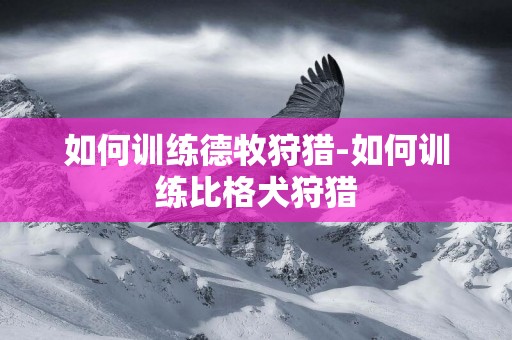 如何訓練德牧狩獵-如何訓練比格犬狩獵