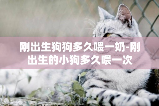 剛出生狗狗多久喂一奶-剛出生的小狗多久喂一次