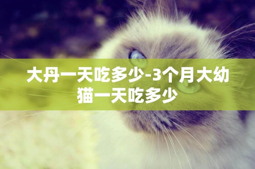 大丹一天吃多少-3個月大幼貓一天吃多少
