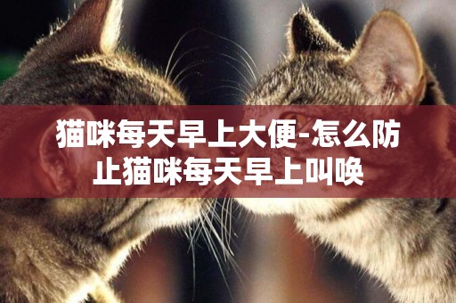 貓咪每天早上大便-怎么防止貓咪每天早上叫喚