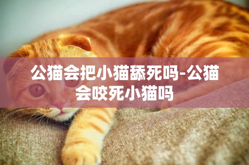 公貓會把小貓舔死嗎-公貓會咬死小貓嗎