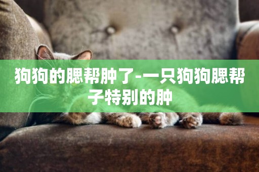 狗狗的腮幫腫了-一只狗狗腮幫子特別的腫