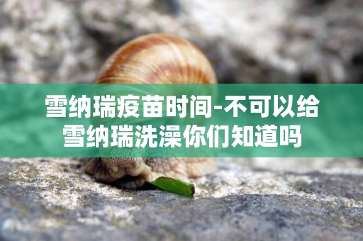 雪納瑞疫苗時間-不可以給雪納瑞洗澡你們知道嗎