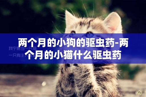 兩個月的小狗的驅蟲藥-兩個月的小貓什么驅蟲藥
