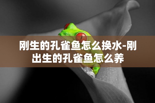 剛生的孔雀魚怎么換水-剛出生的孔雀魚怎么養