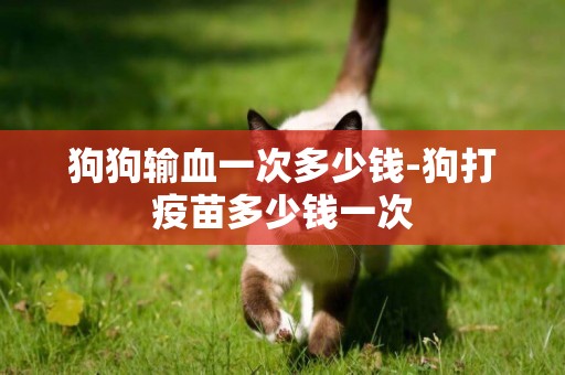 狗狗輸血一次多少錢-狗打疫苗多少錢一次