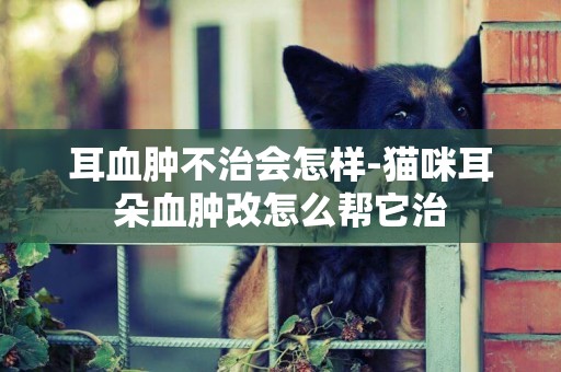耳血腫不治會怎樣-貓咪耳朵血腫改怎么幫它治
