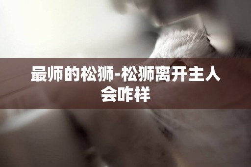 最師的松獅-松獅離開主人會咋樣