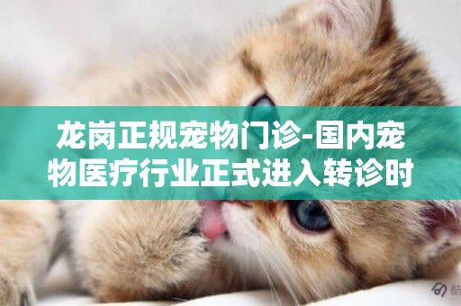 龍崗正規寵物門診-國內寵物醫療行業正式進入轉診時代