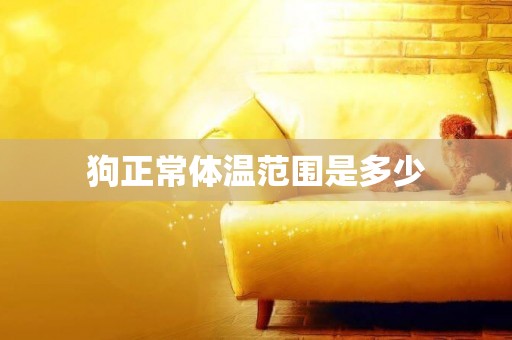 狗正常體溫范圍是多少