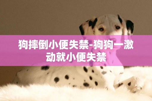 狗摔倒小便失禁-狗狗一激動就小便失禁