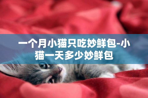 一個月小貓只吃妙鮮包-小貓一天多少妙鮮包