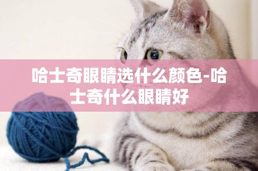 哈士奇眼睛選什么顏色-哈士奇什么眼睛好