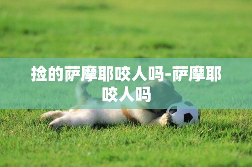 撿的薩摩耶咬人嗎-薩摩耶咬人嗎