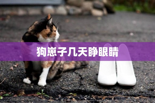 狗崽子幾天睜眼睛