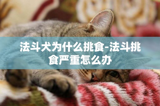 法斗犬為什么挑食-法斗挑食嚴重怎么辦