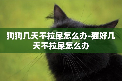 狗狗幾天不拉屎怎么辦-貓好幾天不拉屎怎么辦