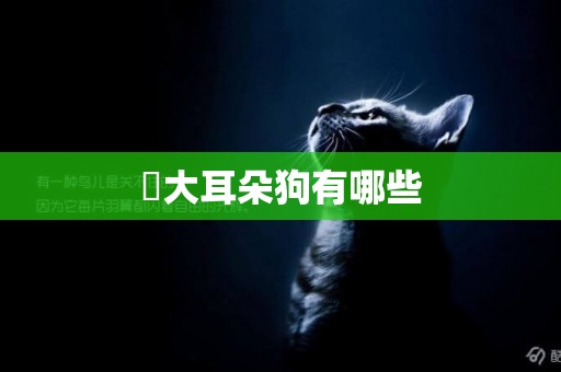 ?大耳朵狗有哪些