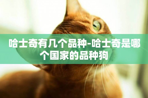 哈士奇有幾個品種-哈士奇是哪個國家的品種狗