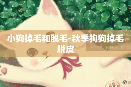 小狗掉毛和脫毛-秋季狗狗掉毛脫皮