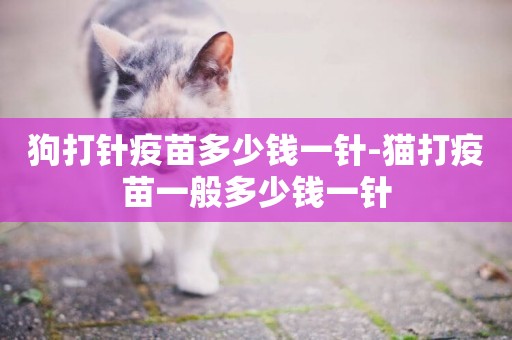 狗打針疫苗多少錢一針-貓打疫苗一般多少錢一針