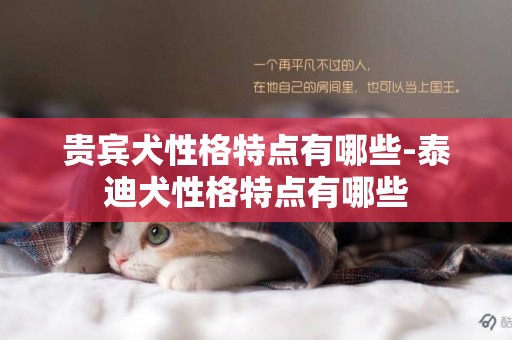 貴賓犬性格特點有哪些-泰迪犬性格特點有哪些