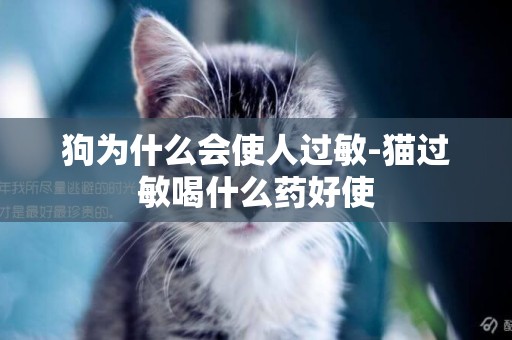 狗為什么會使人過敏-貓過敏喝什么藥好使