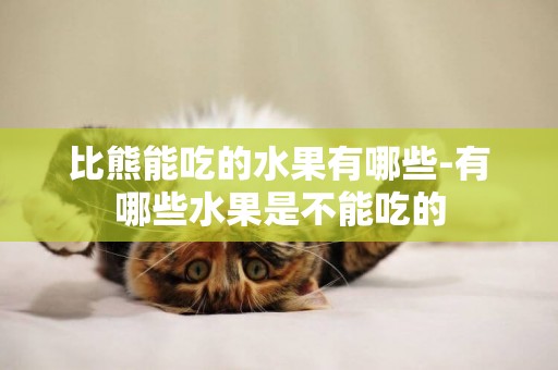 比熊能吃的水果有哪些-有哪些水果是不能吃的