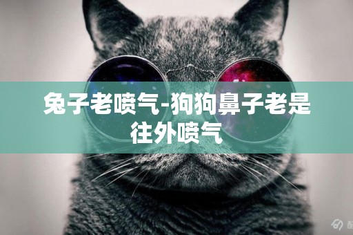 兔子老噴氣-狗狗鼻子老是往外噴氣
