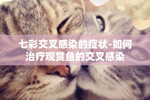 七彩交叉感染的癥狀-如何治療觀賞魚的交叉感染