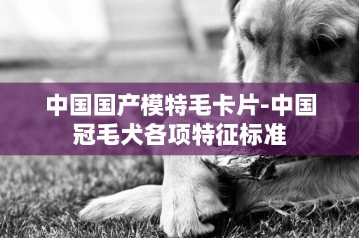 中國國產模特毛卡片-中國冠毛犬各項特征標準
