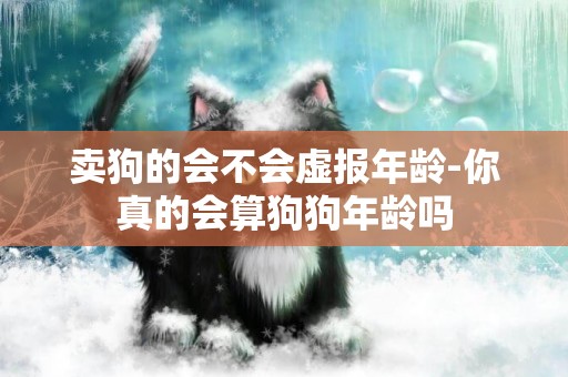 賣狗的會不會虛報年齡-你真的會算狗狗年齡嗎