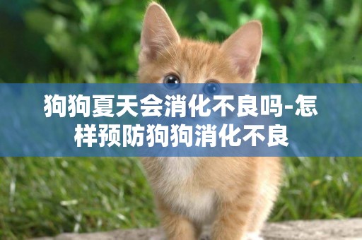 狗狗夏天會消化不良嗎-怎樣預防狗狗消化不良