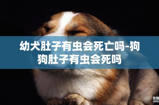 幼犬肚子有蟲會死亡嗎-狗狗肚子有蟲會死嗎