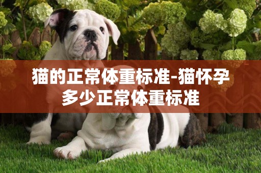 貓的正常體重標準-貓懷孕多少正常體重標準