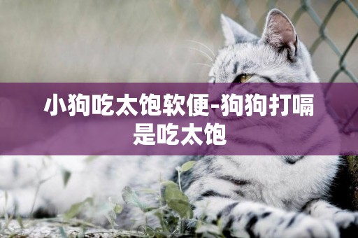 小狗吃太飽軟便-狗狗打嗝是吃太飽