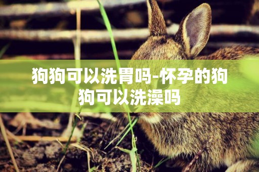 狗狗可以洗胃嗎-懷孕的狗狗可以洗澡嗎
