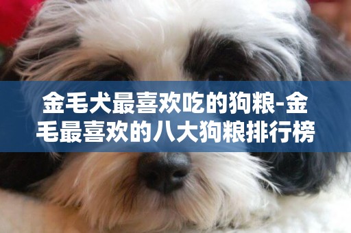 金毛犬最喜歡吃的狗糧-金毛最喜歡的八大狗糧排行榜