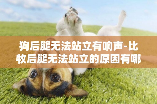 狗后腿無法站立有響聲-比牧后腿無法站立的原因有哪些