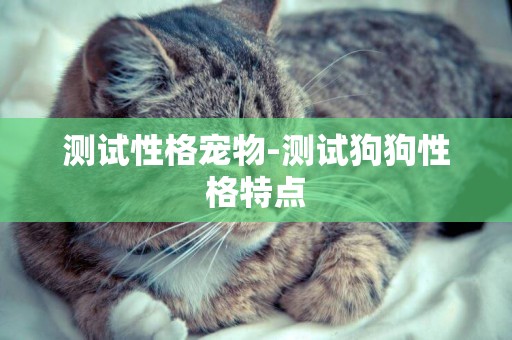 測試性格寵物-測試狗狗性格特點