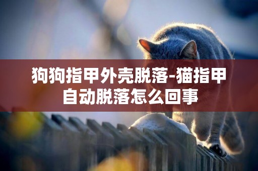 狗狗指甲外殼脫落-貓指甲自動脫落怎么回事
