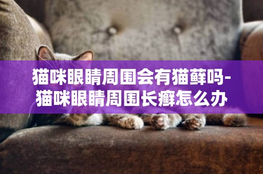 貓咪眼睛周圍會有貓蘚嗎-貓咪眼睛周圍長癬怎么辦