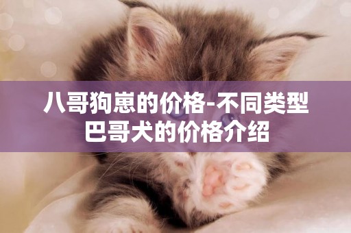 八哥狗崽的價格-不同類型巴哥犬的價格介紹