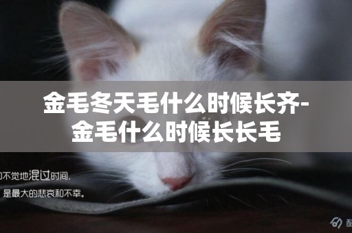 金毛冬天毛什么時候長齊-金毛什么時候長長毛